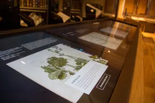 Dispositifs interactifs à la bibliothèque humaniste — visuel 21