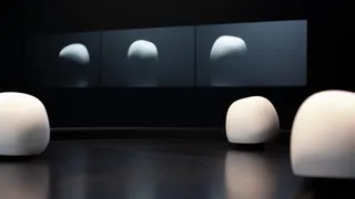 Les Appprenants — visuel 1