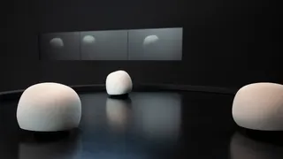 Les Appprenants — visuel 4