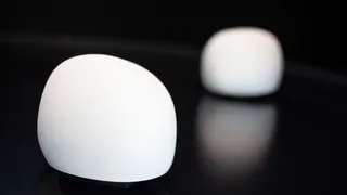 Les Appprenants — visuel 10