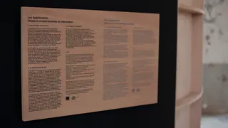 Les Appprenants — visuel 11