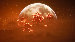 LIDO XR — visuel 1