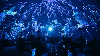 LIDO XR — visuel 5