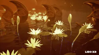 LIDO XR — visuel 6