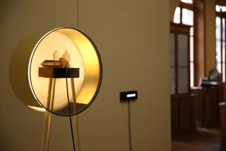 Pierre domestiquée — visuel 8