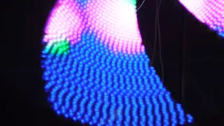 SPIM — visuel 4