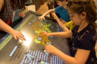 « VIS COMME UNE ABEILLE » Musée des Papillons — visuel 2
