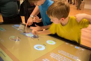 « VIS COMME UNE ABEILLE » Musée des Papillons — visuel 5