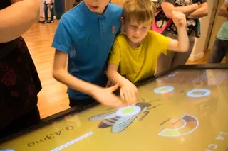 « VIS COMME UNE ABEILLE » Musée des Papillons — visuel 7