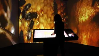 Vis comme une abeille — visuel 3
