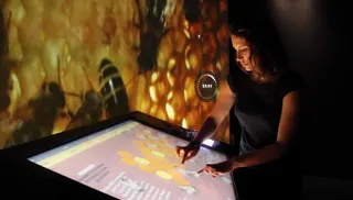 Vis comme une abeille — visuel 7