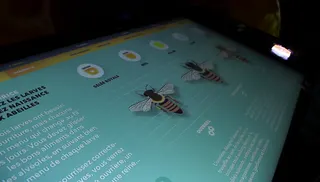 Vis comme une abeille — visuel 9