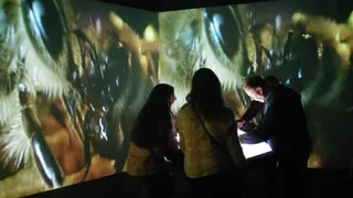Vis comme une abeille — visuel 14