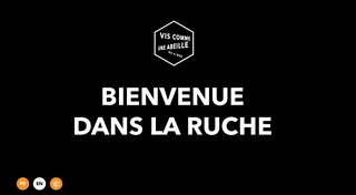 Vis comme une abeille — visuel 17