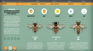 Vis comme une abeille — visuel 20