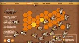 Vis comme une abeille — visuel 21