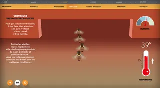 Vis comme une abeille — visuel 22