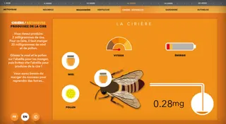 Vis comme une abeille — visuel 23