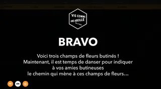 Vis comme une abeille — visuel 28